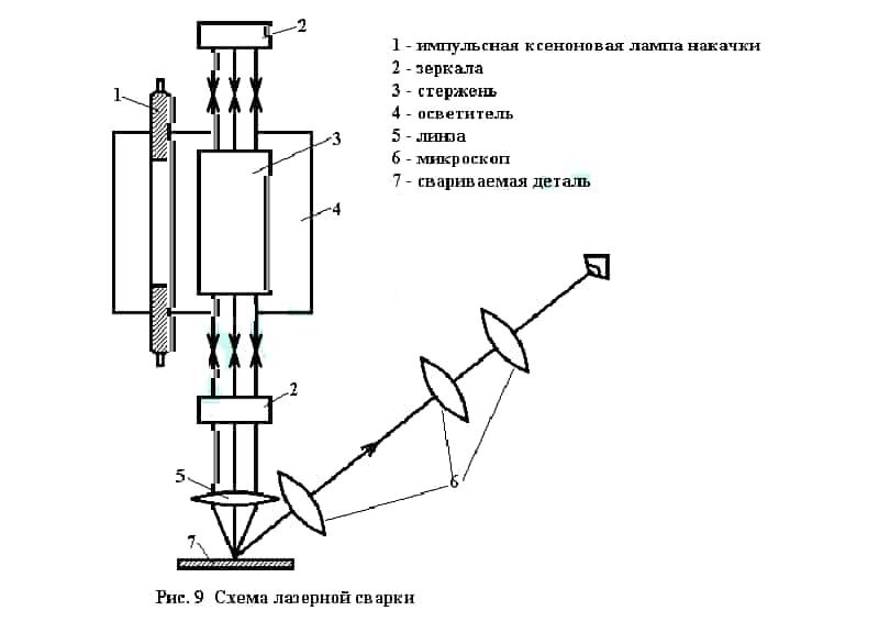 scale_1200 (2).jpg